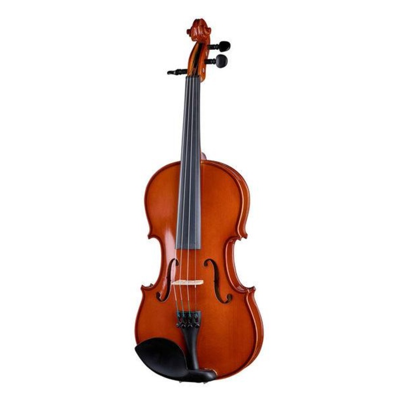 Gewa Allegro Flaxwood Violin 4/4