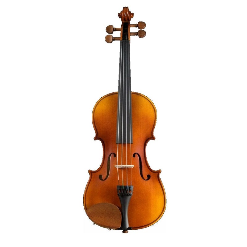 Pearl River PR V01 4/4 Outfit Violin