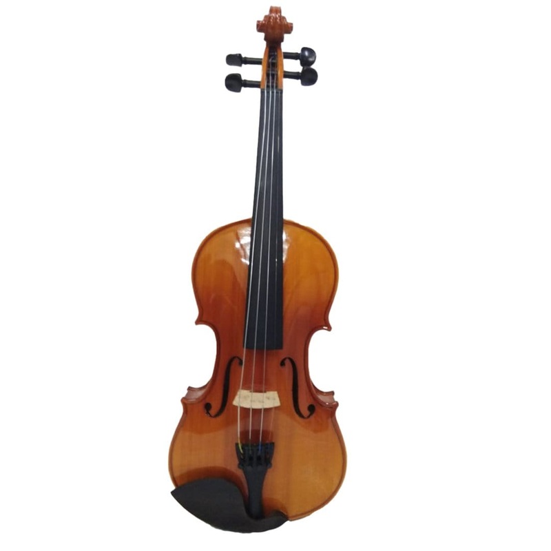 Pluto 4/4 Size Violin With Bag