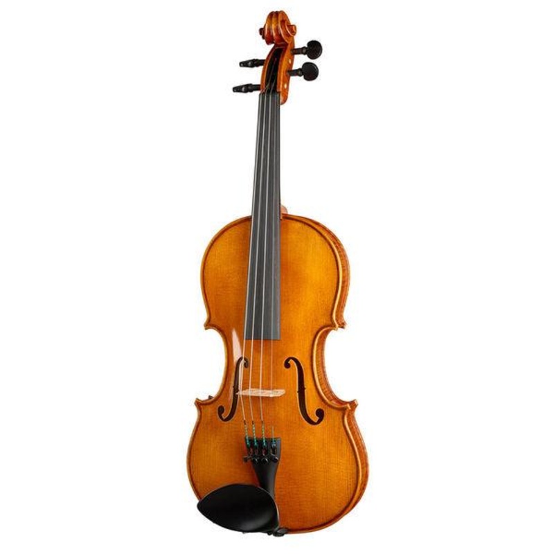 Rainer W. Leonhardt No. 100/2 Master Violin 4/4