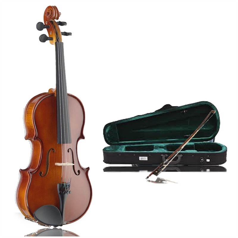 Stagg VN-4/4 Solid Maple Violin Set With Case