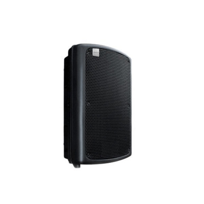 Ashton MAS15 Passive Speaker 15