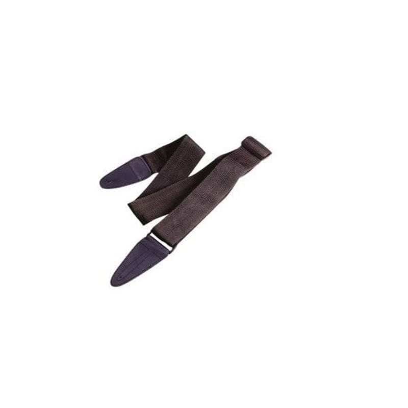 Ashton AGS100 Guitar Strap
