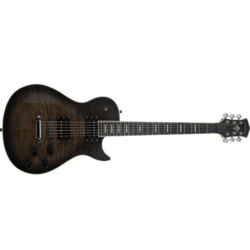 Washburn WINDLXFBB Electric Guitar - Flame Black Burst