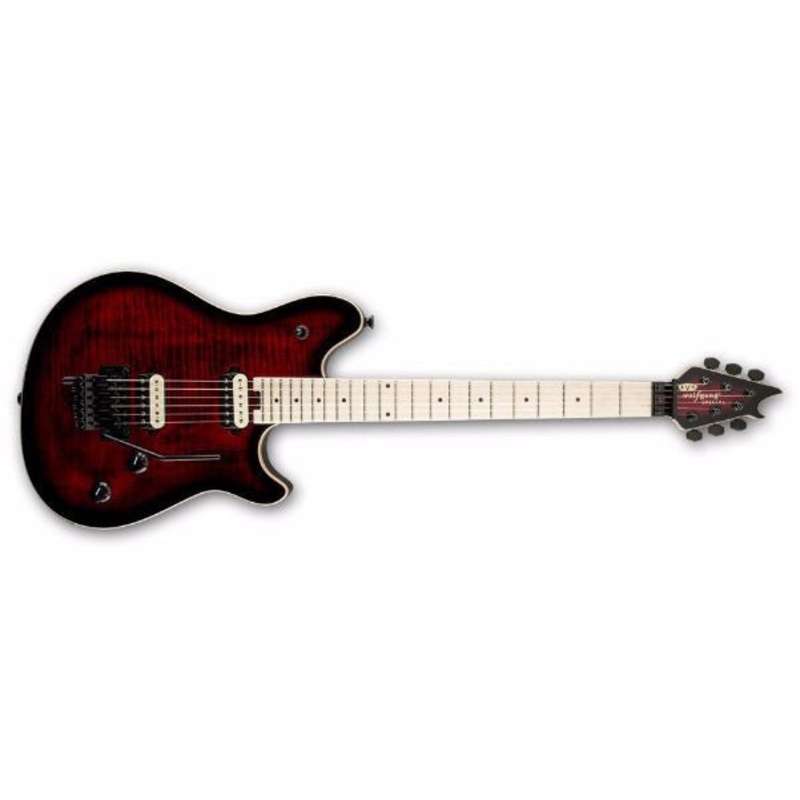 Wolfgang Special Electric Guitar